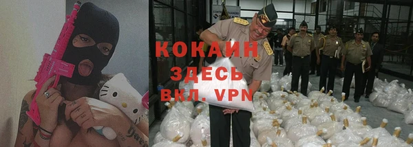 прущие грибы Армянск