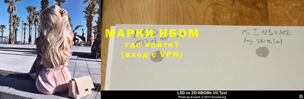 прущие грибы Армянск