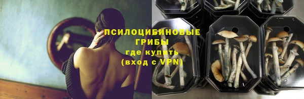 прущие грибы Армянск