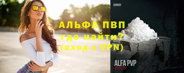 прущие грибы Арсеньев