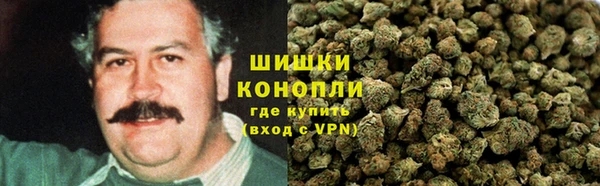 прущие грибы Армянск