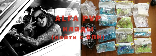 прущие грибы Арсеньев
