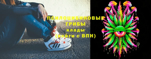 прущие грибы Армянск