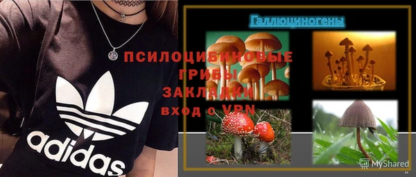 прущие грибы Арсеньев