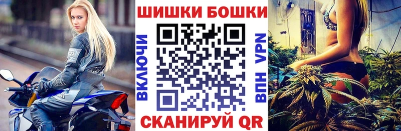 Бошки Шишки VHQ  Новоузенск 
